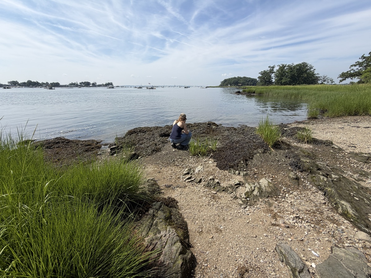 A rocky shoreline
