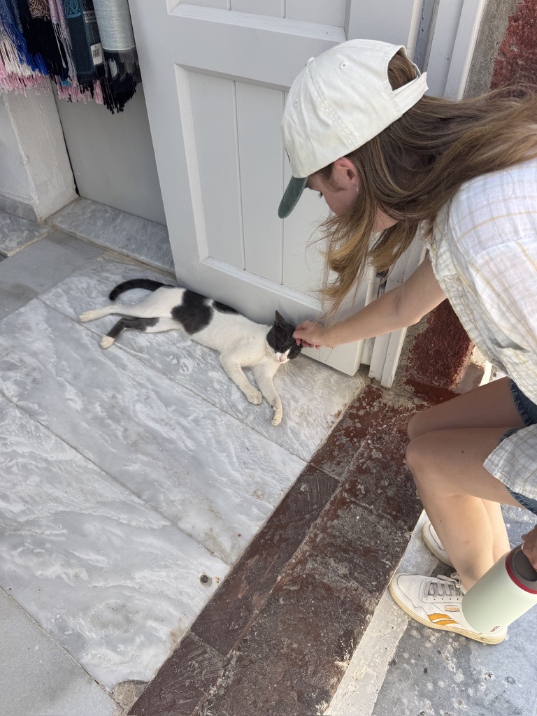 Cailin petting a black-and-white cat on a marble step