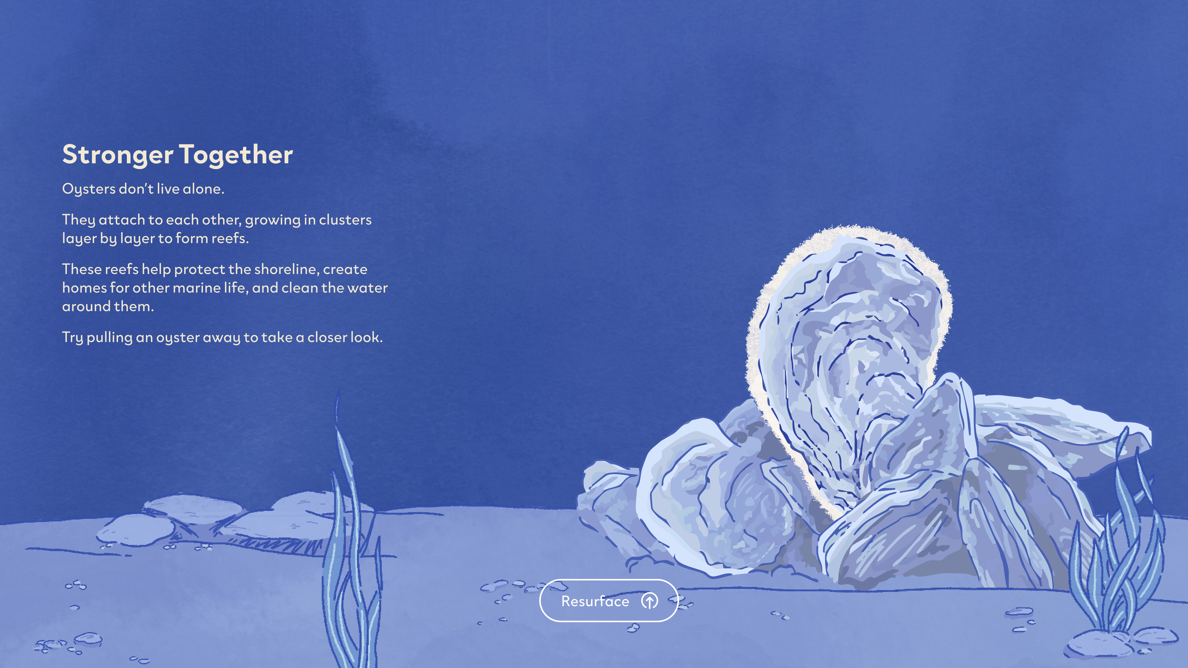 Version 3 ‘Stronger Together’ page: text about oyster reefs beside an illustrated oyster cluster on a blue seafloor, with a Resurface button