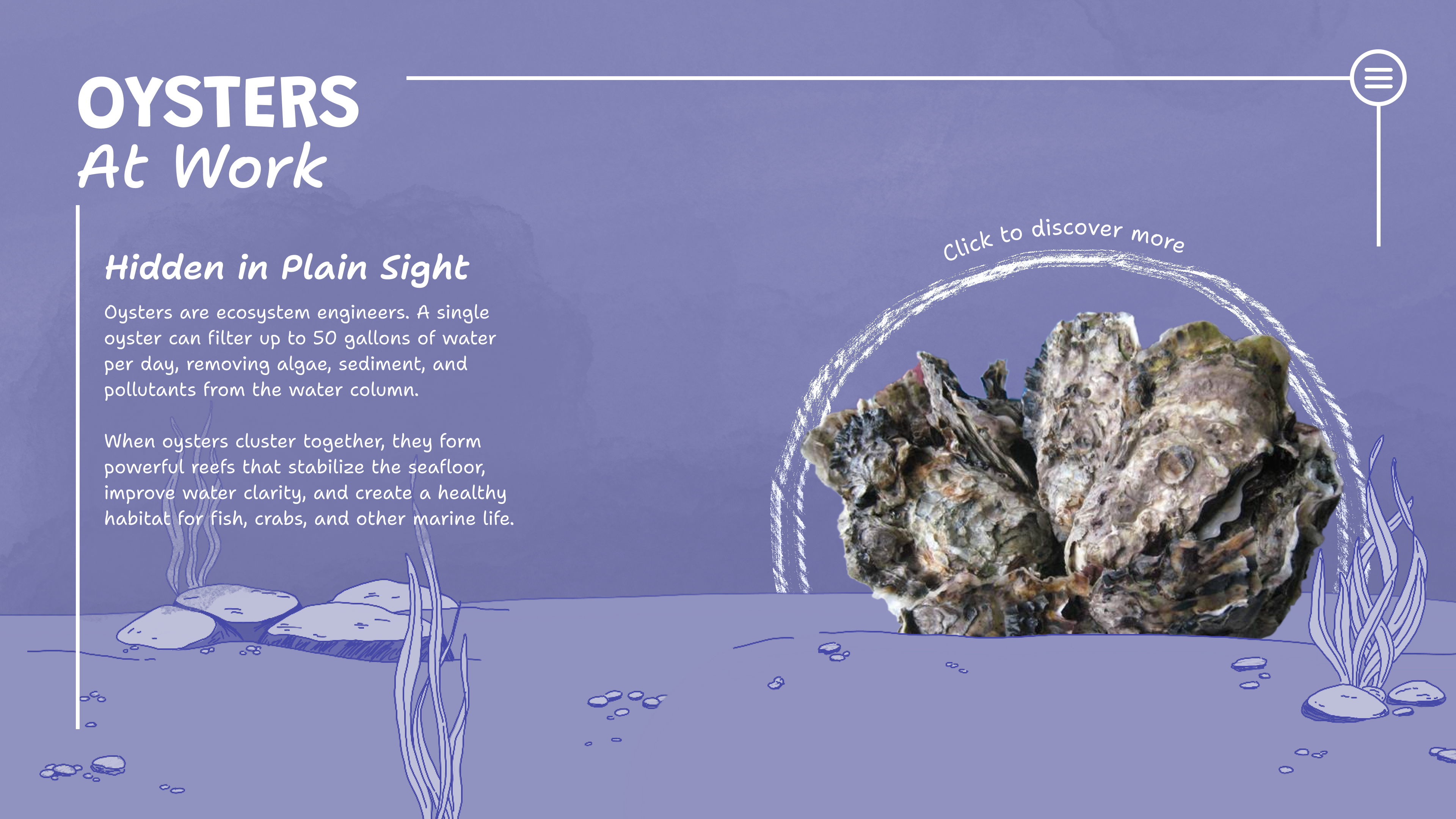 Version 2 ‘Oysters at Work’: purple illustrated seafloor with a photo of oysters inside a hand-drawn arc
