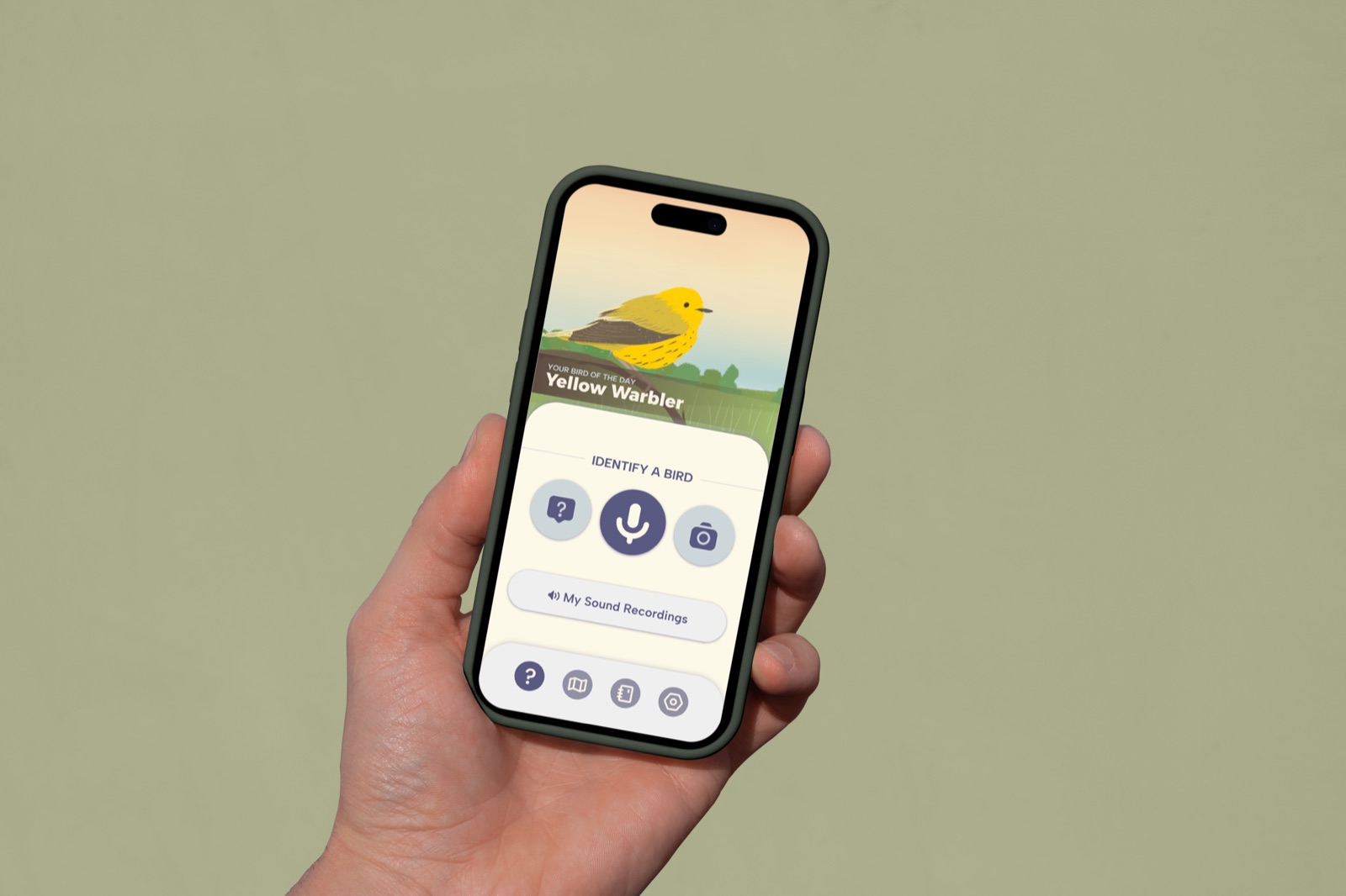 Merlin Bird Buddies app on a phone held in hand